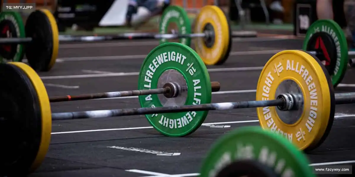 行业领先的理由